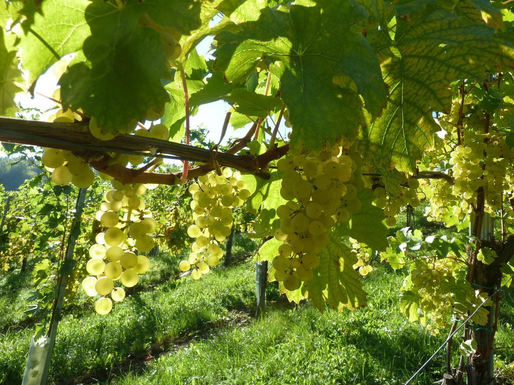 Weingut- Gaestezimmer Marko Leutschach Eksteriør billede