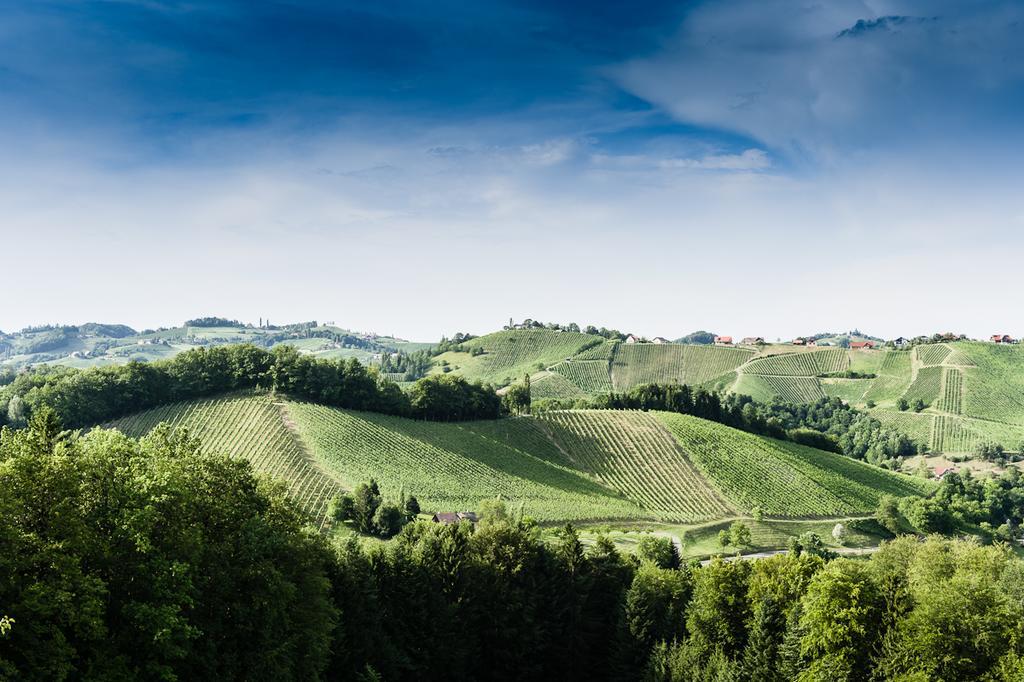 Weingut- Gaestezimmer Marko Leutschach Eksteriør billede