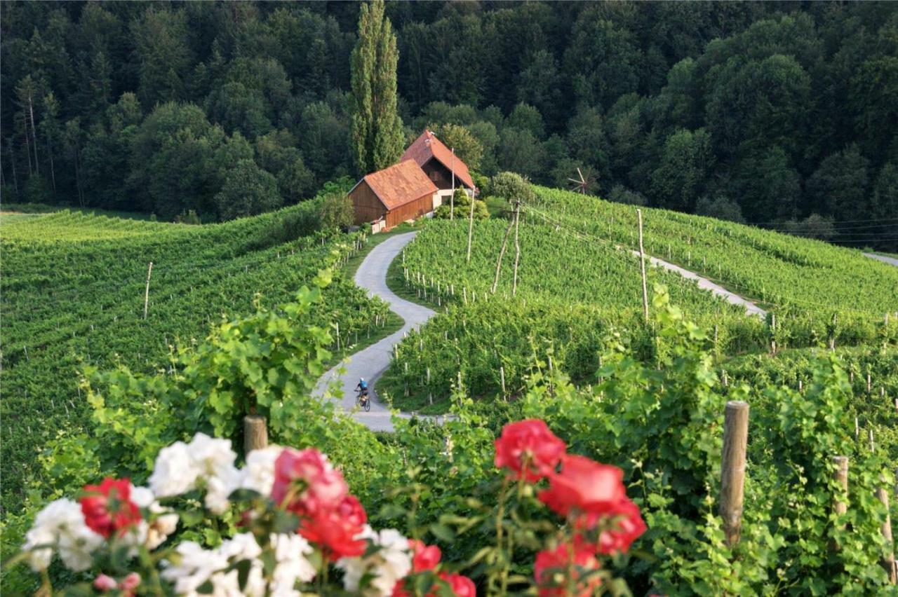 Weingut- Gaestezimmer Marko Leutschach Eksteriør billede