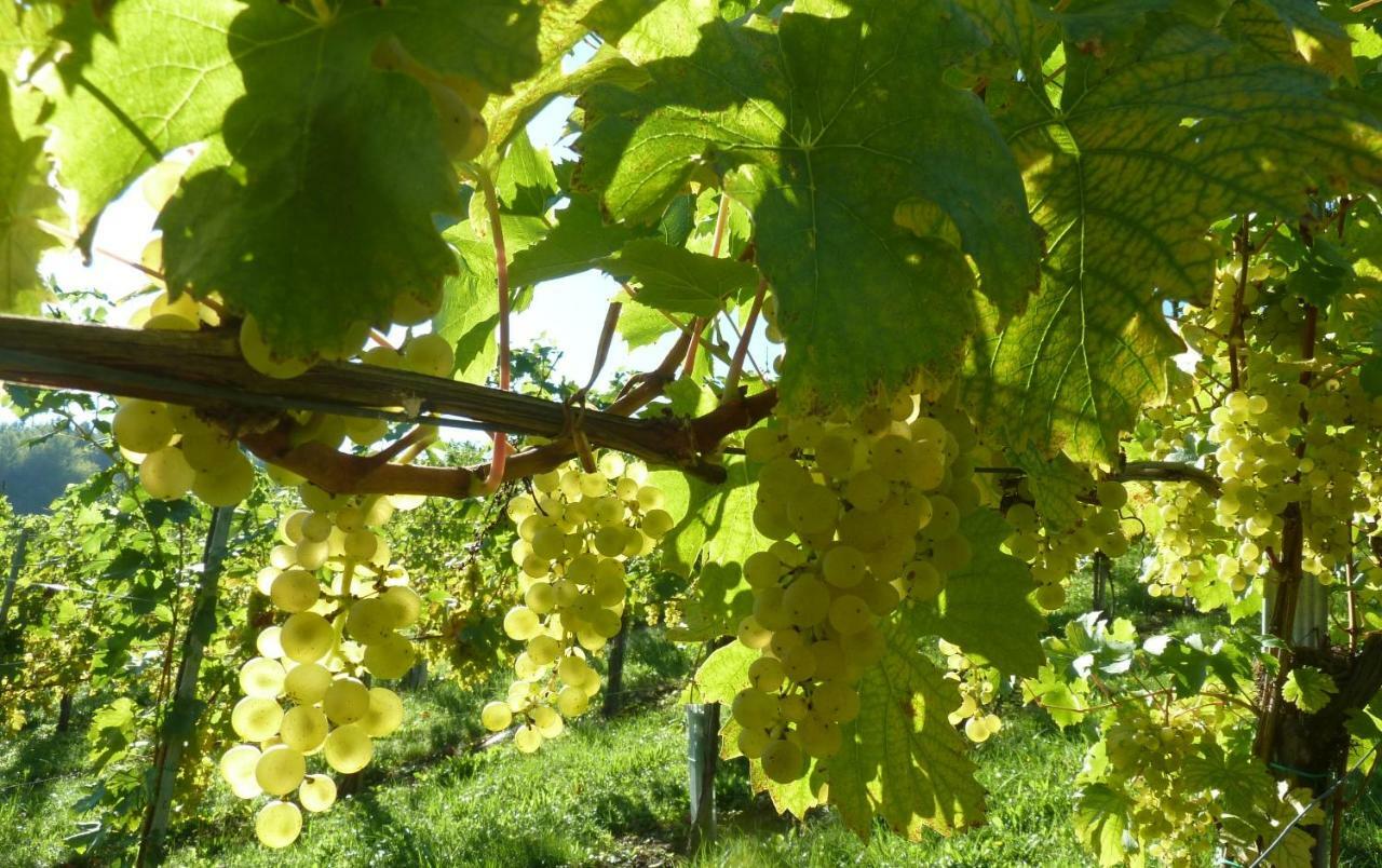 Weingut- Gaestezimmer Marko Leutschach Eksteriør billede