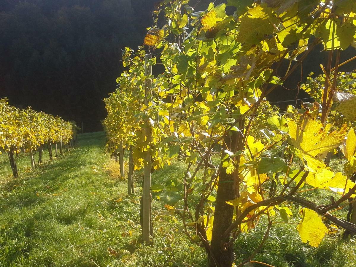Weingut- Gaestezimmer Marko Leutschach Eksteriør billede